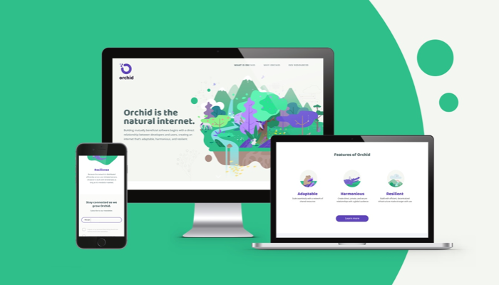 Orchid marketing website layout design, brand identity and strategy developed by frog