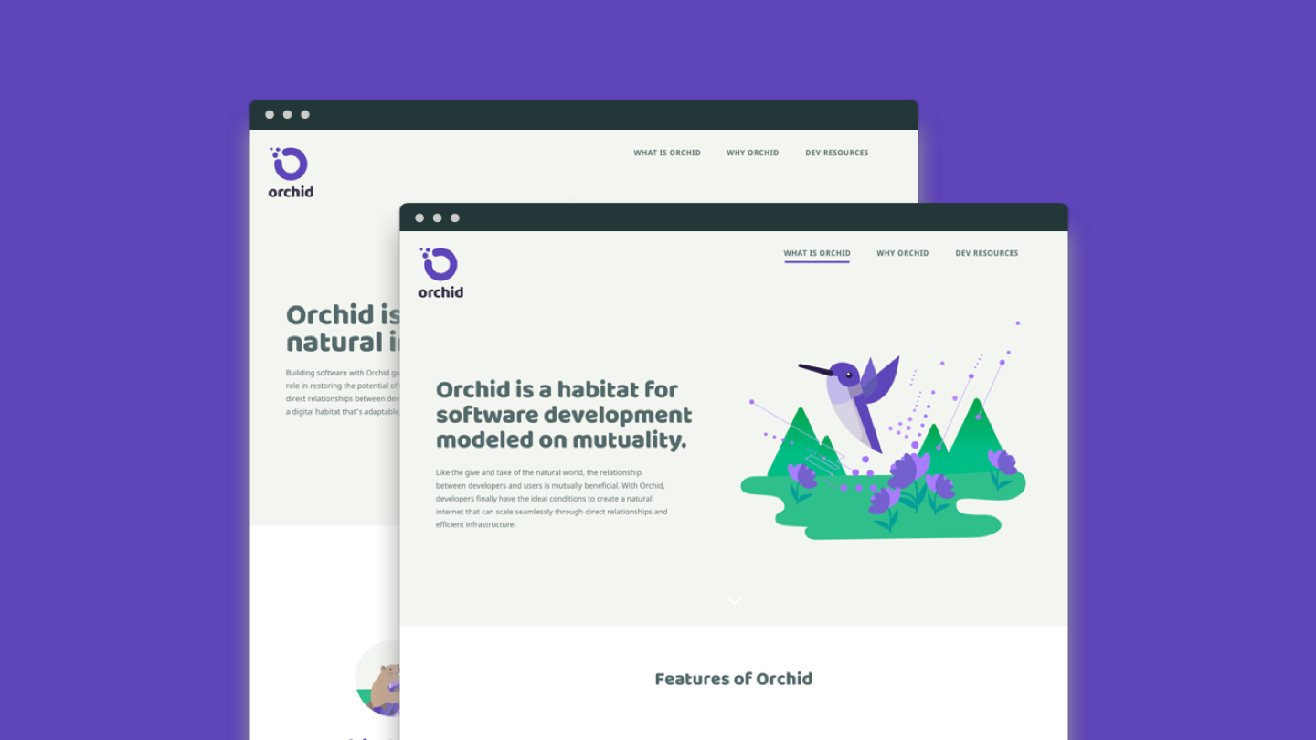 Orchid marketing website layout design 