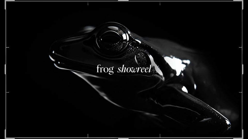 Accelerate Pathway | frog, part of Capgemini Invent